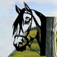 Metal Art - Horse