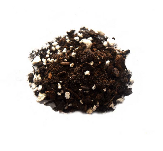 Potting Mix (Indoor & Outdoor) - Eco Box