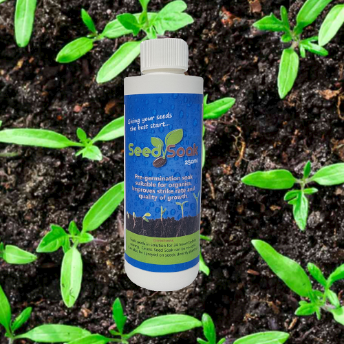 Seed Soak Pre-Germination - Organic