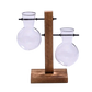Propagation Station - Wooden Stand